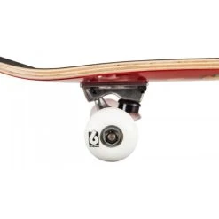 Birdhouse Chicken Mini Complete Skateboard -Movement-Pulley chicken203 500x500 0